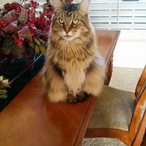 Meet your Posher, Sarna